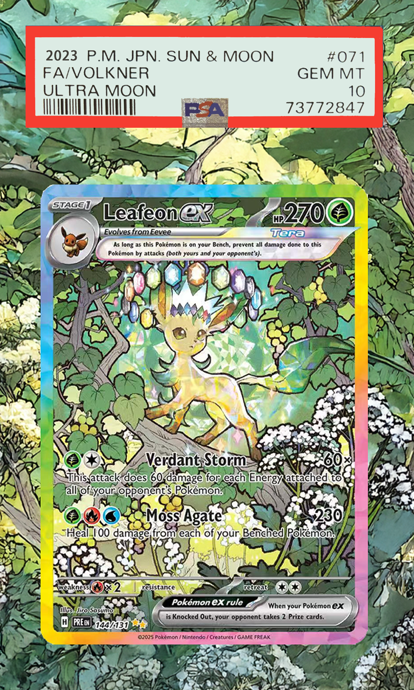 Pokemon Cards Display PTCG Lea - Display Case Acrylic avis et prix