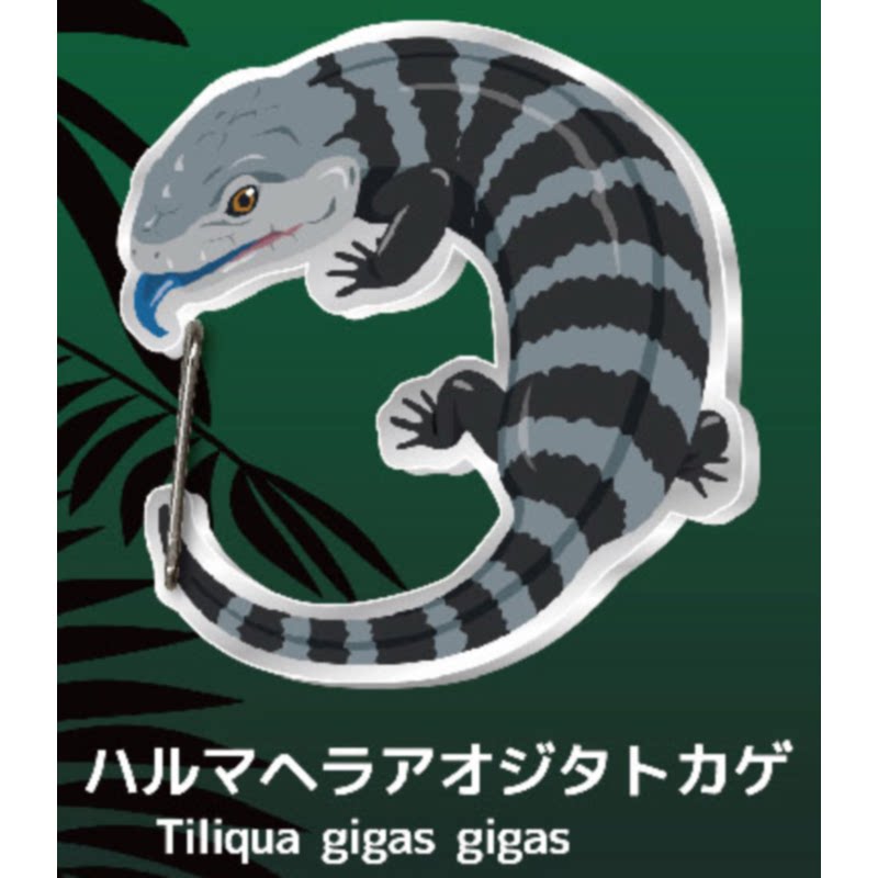 Lizard Gecko Carabiner Keychai - Capsule Toy Gashapon avis et prix