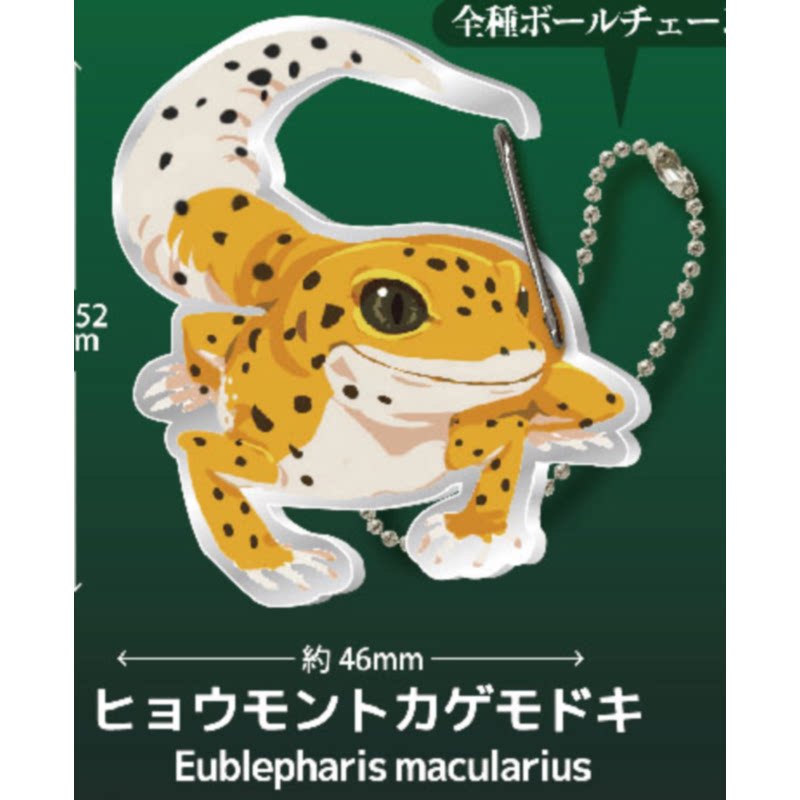 Lizard Gecko Carabiner Keychai - Capsule Toy Gashapon avis et prix