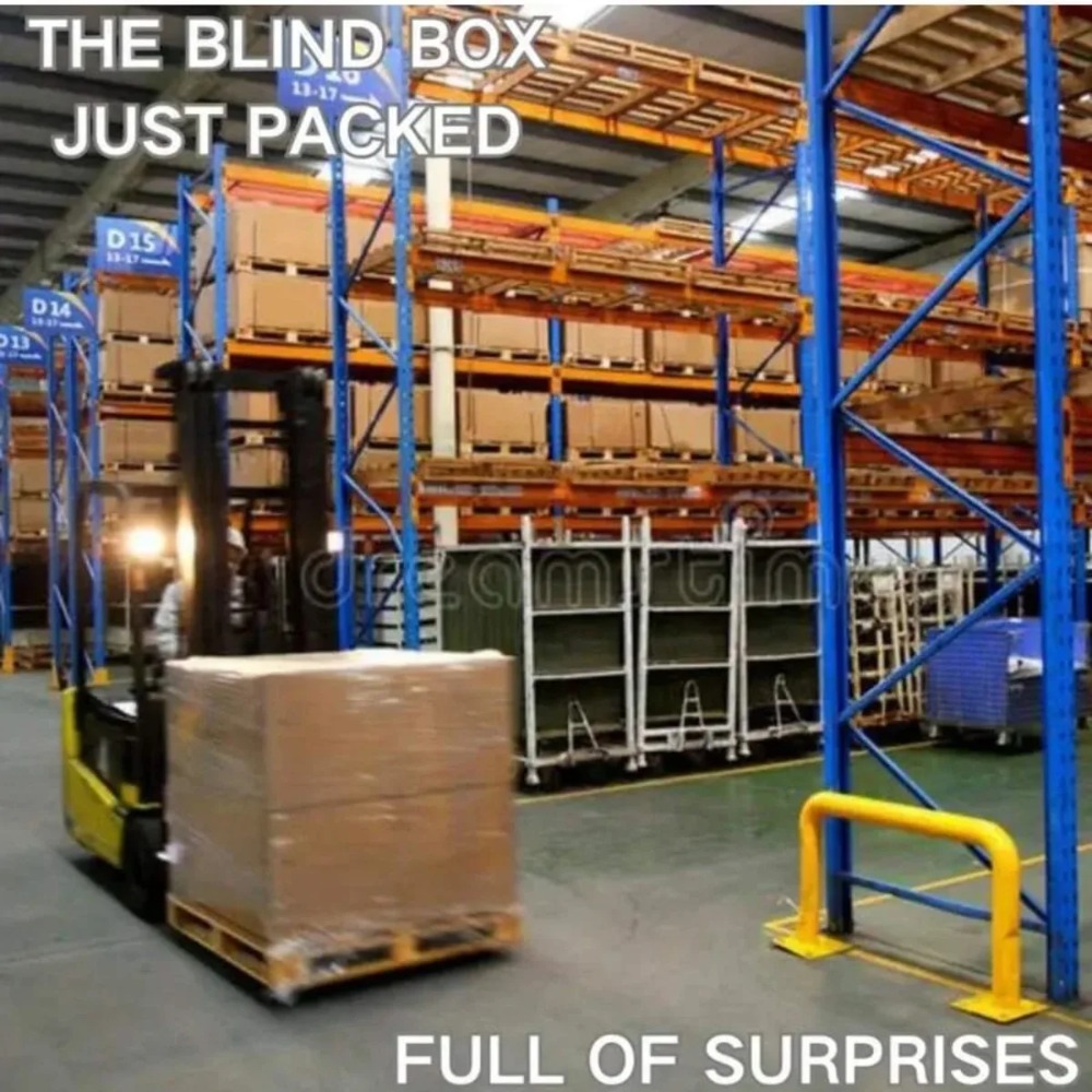 Super Surprise Mystery Box Ran - Mystery Box Blind Bag avis et prix